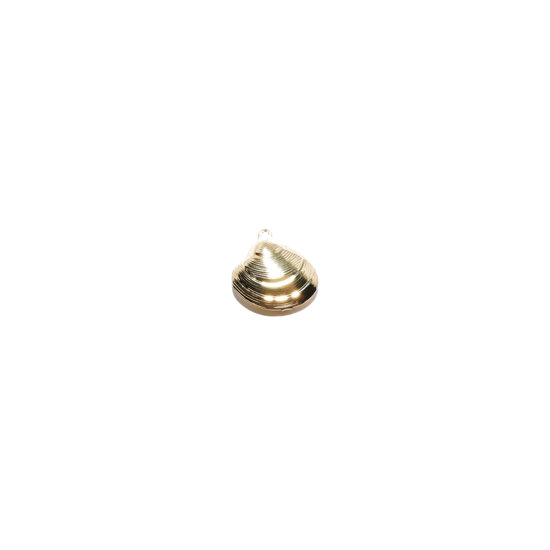 Mermaid's Treasure Shell Charm